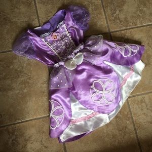 Princess👑 Sofia Costume 2 piece